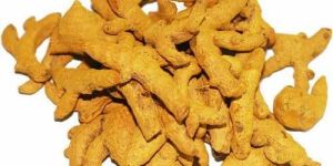 Dry Turmeric Finger