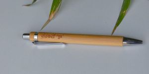 Bamboo Pen