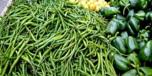 Fresh Vegetables and Fruits