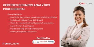 Certified Business Analytics Professional Course Pune
