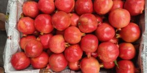 Pomogranate,Onion,Guava,Cabbage,Flower