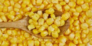 Maize