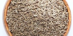 Brown Cumin Seeds