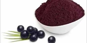 Elderberry Extract Powder