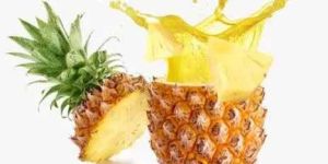 Pineapple Pulp