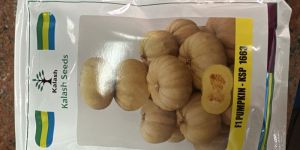F1 Hybrid Pumpkin Seeds