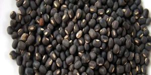 Black Urad Dal