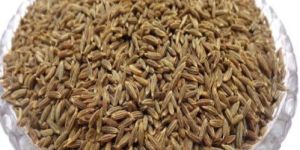 Cumin Seeds