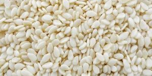 Natural White Sesame Seeds