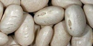 White Kidney Beans