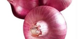 a Grade Natural Pink Onion