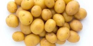 Fresh Baby Potato