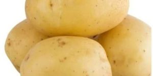 Fresh Natural Potato