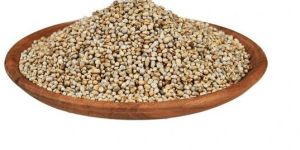 Organic Pearl Millet