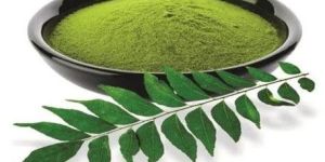Curry Leaves Powder