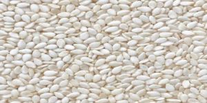 Sesame Seed