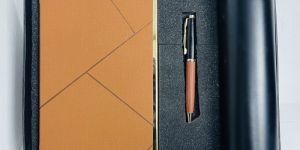 Corporate Executive Diary