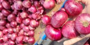 Indian Red Onion