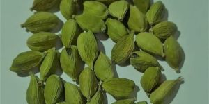 7 Mm Green Cardamom