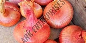 Raw Pink Onion