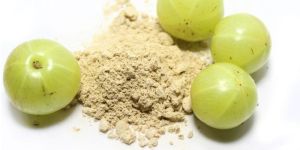 Organic Amla Powder