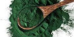 Herbal Spirulina Powder