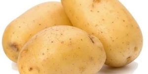 Fresh Potato