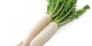 Fresh Radish