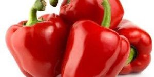 Fresh Red Capsicum