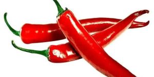 Fresh Red Chilli
