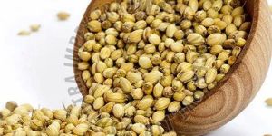 Coriander Seeds