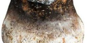 PMV34 Paper Mache Flower Vase