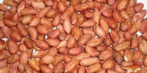 HPS GROUNDNUT KERNEL