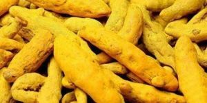 Nizamabad Turmeric Finger