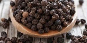 Organic Black Pepper Seeds