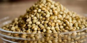 Premium Coriander Seeds