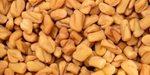Premium Fenugreek Seeds