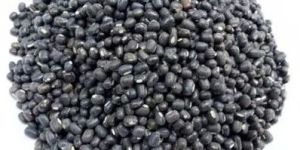 Black Urad Dal