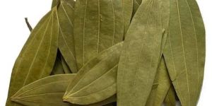 Dried Bay Leaves