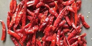Dried Red Chilli