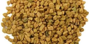 Methi Seeds