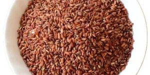 Navara Red Rice