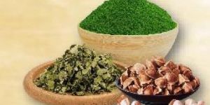 Moringa Leaves Powder