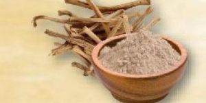 Shatavari Powder