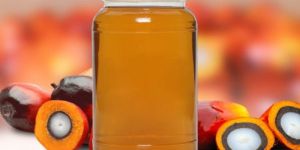 Palm Olein Oil