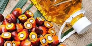 Rbd Palm Oil
