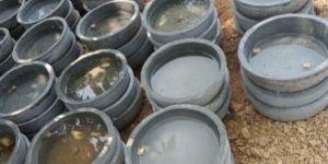 Cement Dogs Water Bowl