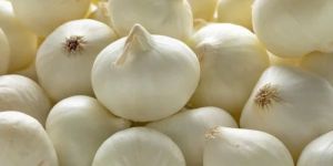 a Grade White Onion