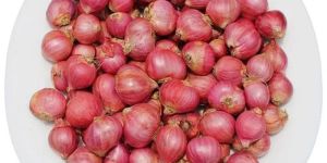 Small Pink Onion