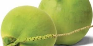 Tender Coconut